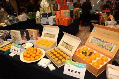 人氣爆棚！“臺九鮮”高調亮相農博會 臺州