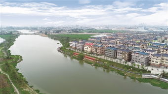 生態引領，勾畫宜居美城新都心